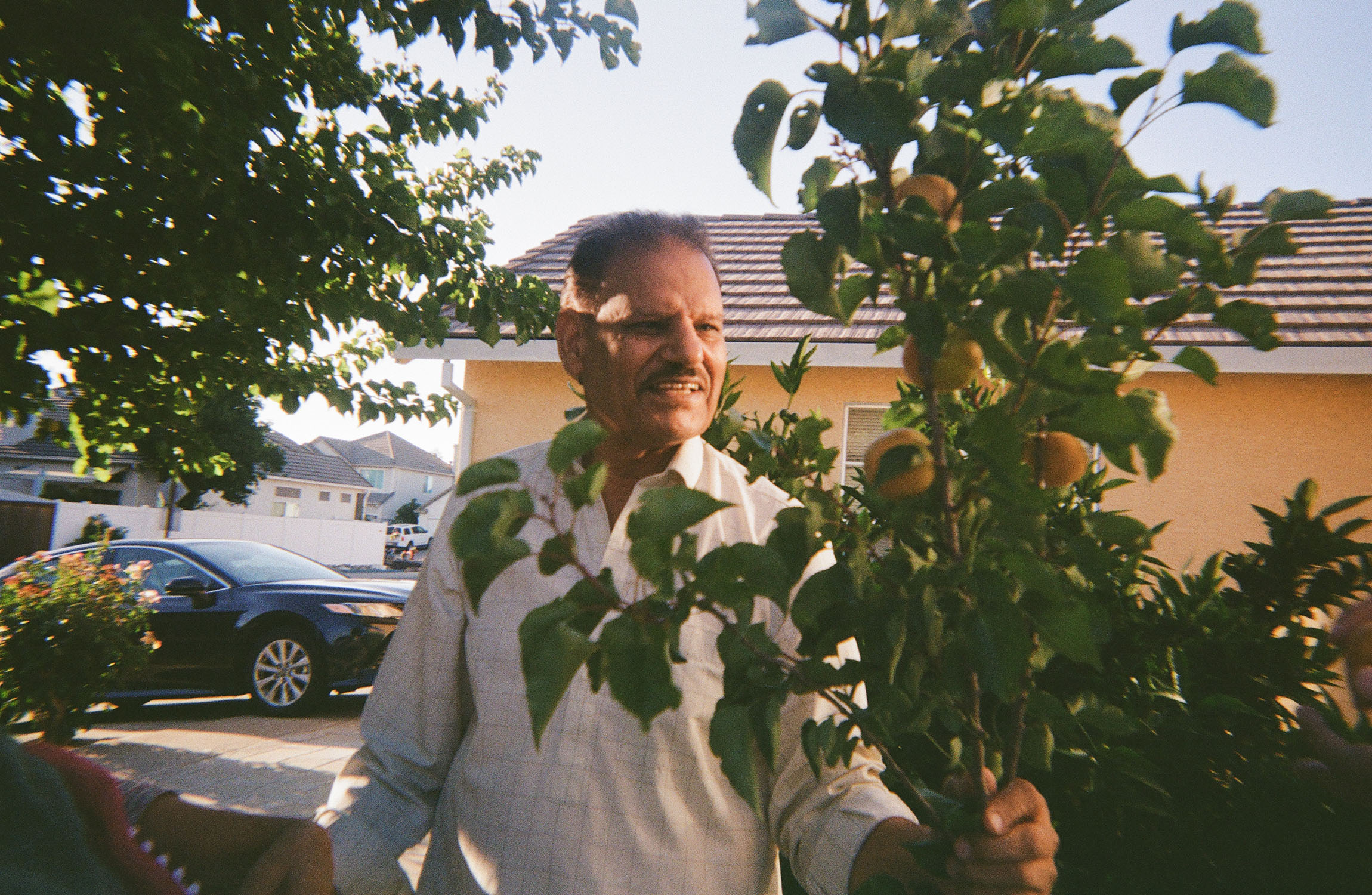 photo of a dad holding a branch from an apricot tree
